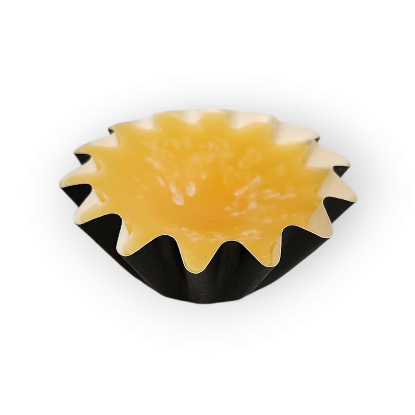 Mango Salsa Beeswax Wax Melt 2oz