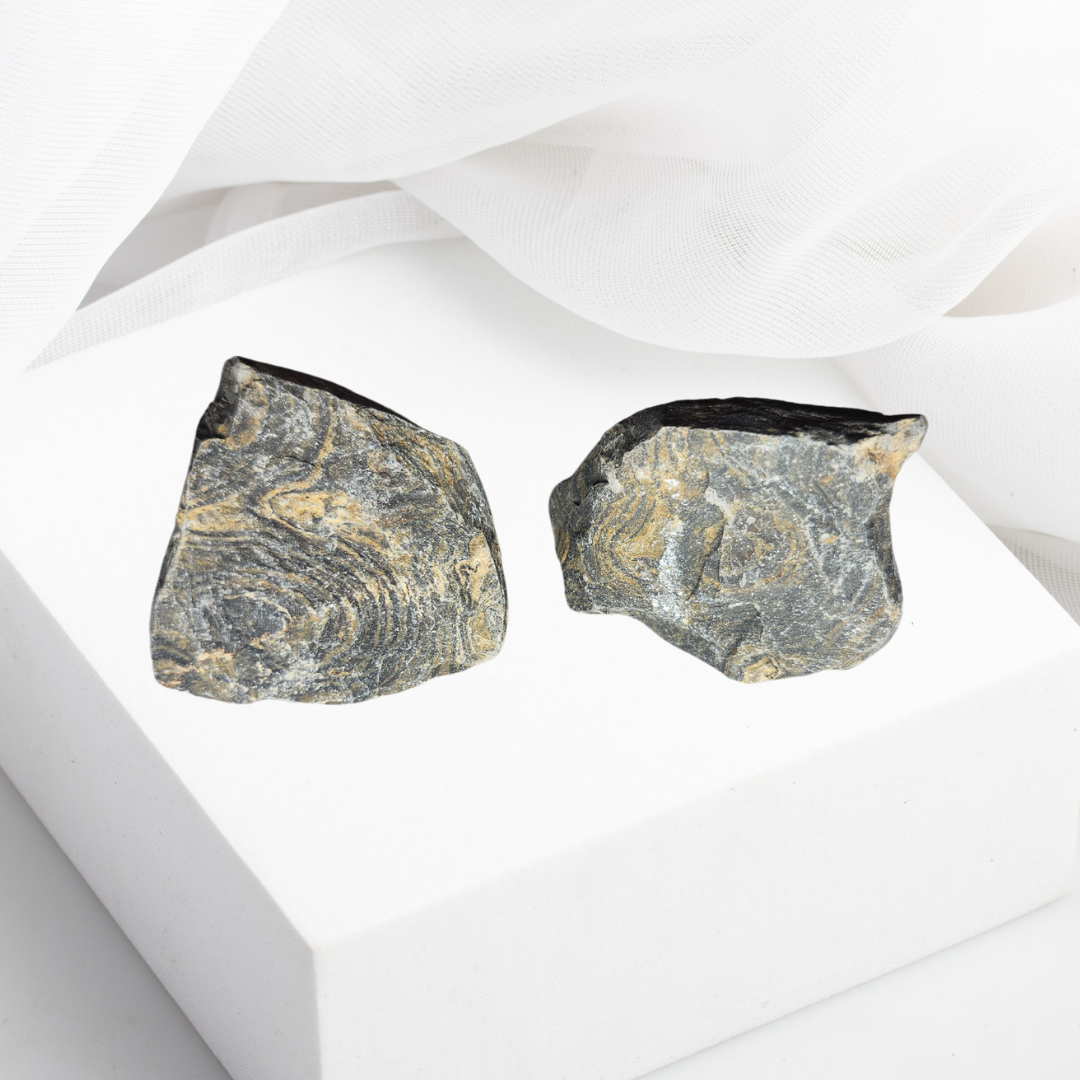 Stromatolite Raw 1-1.5oz