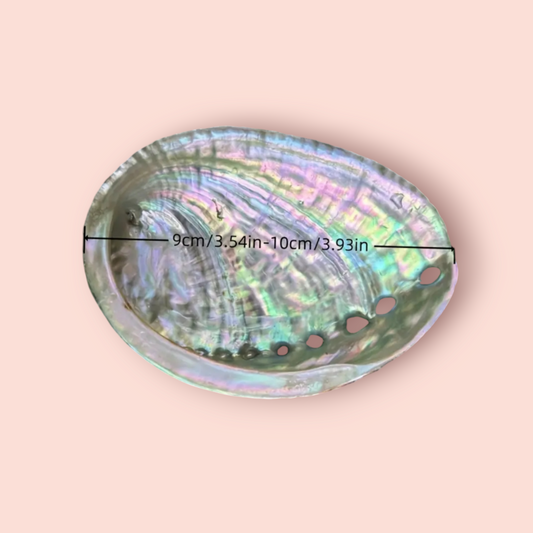 Abalone Shell